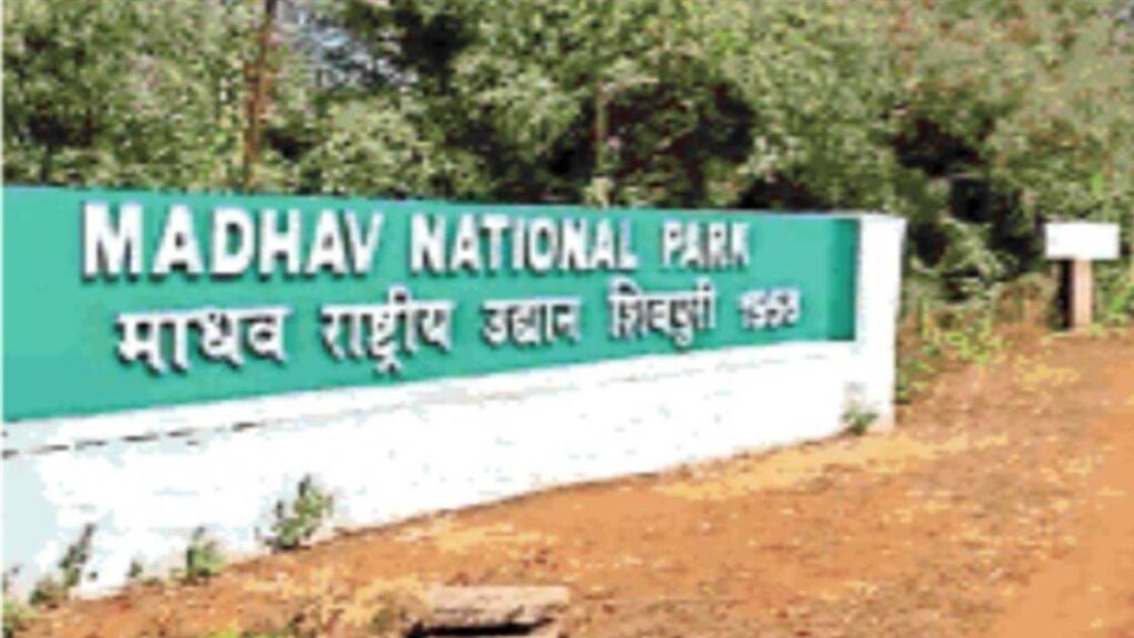 Madhav National Park Tiger Reserve